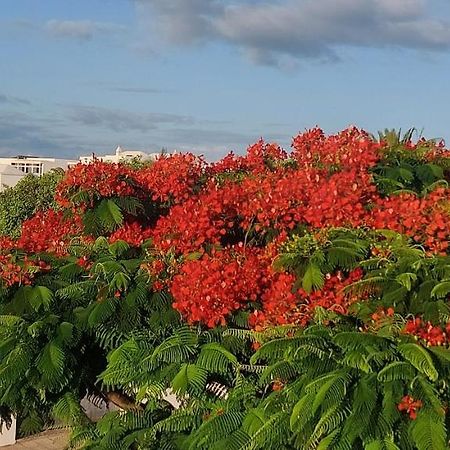 Loma Green Puerto del Carmen (Lanzarote) Exterior foto