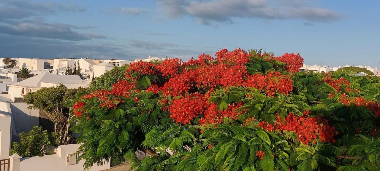 Loma Green Puerto del Carmen (Lanzarote) Exterior foto